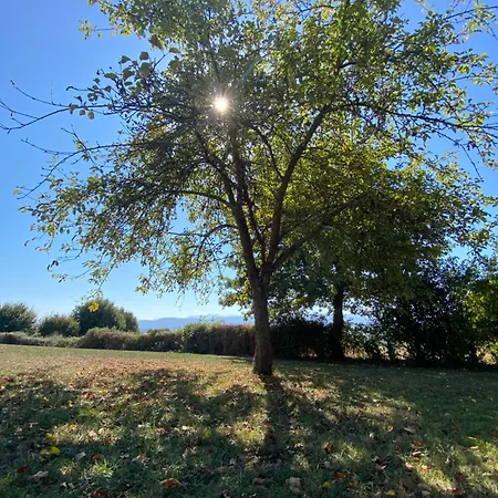 Hébergement de vacances La Maison Des 3 Chouettes