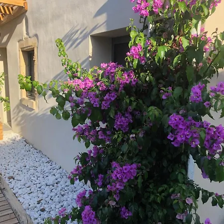 La Maison Des 3 Chouettes Tatil Evi *